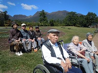 ��d�Ԍ���(�J�[�g)