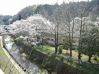 �����ӂɂ�